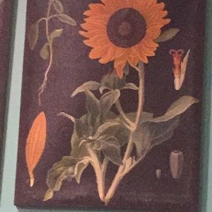 Meet your Posher, Asa